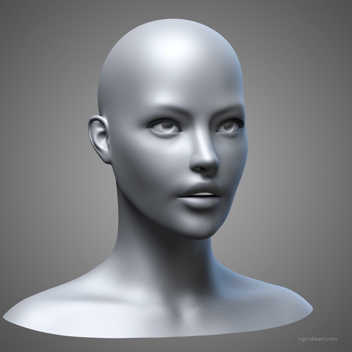 Female Head 3d model