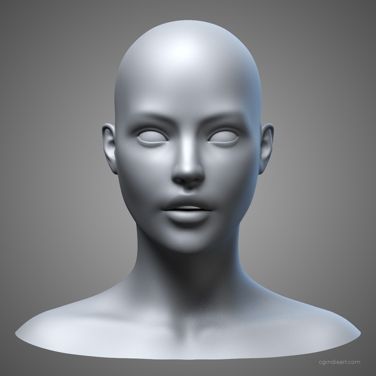 Female Head 3d model