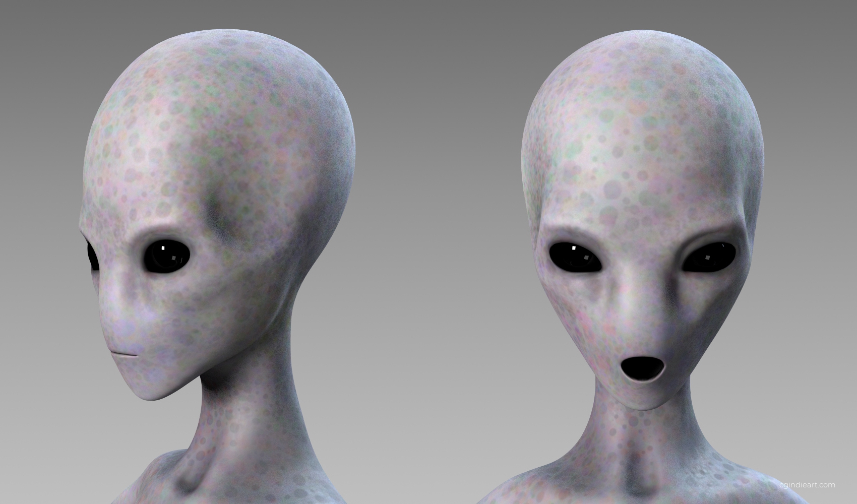 Grey Alien 3d model